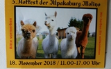 Alpaka Hoffest